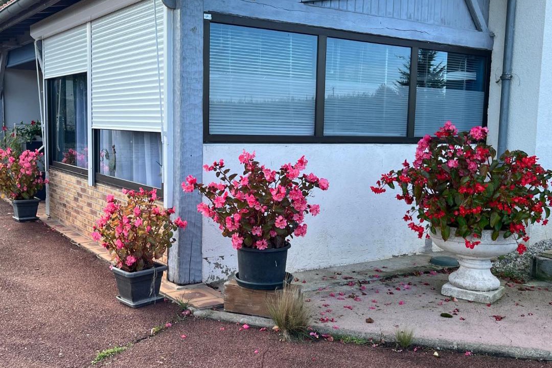 Photo of Others in Marillac-le-Franc