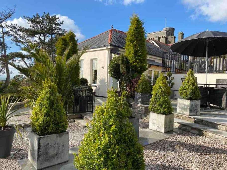 Photo of Buildings in Barmouth