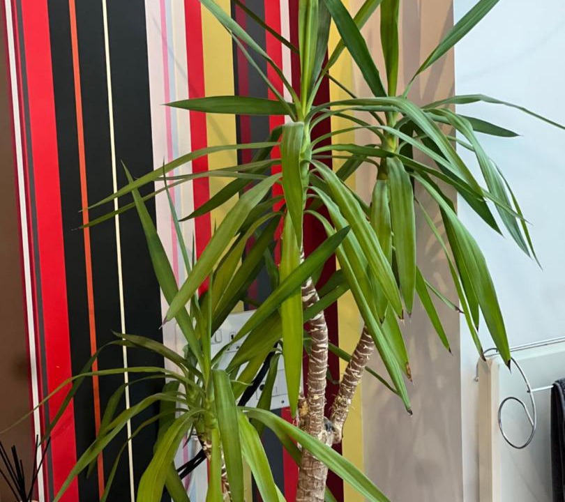 Photo of Others in Hemel Hempstead