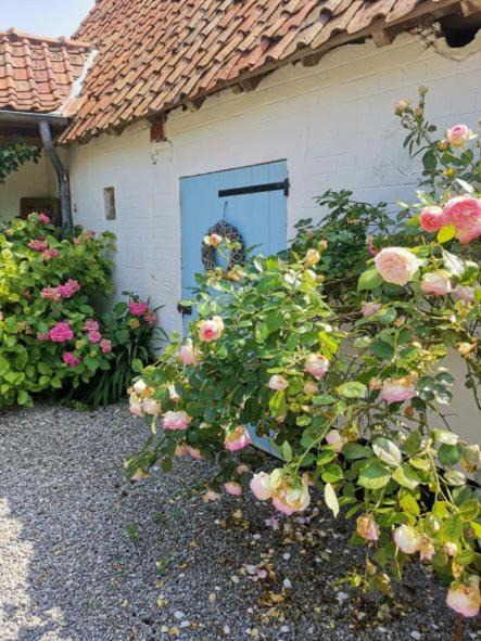 Photo of Others in Wirwignes