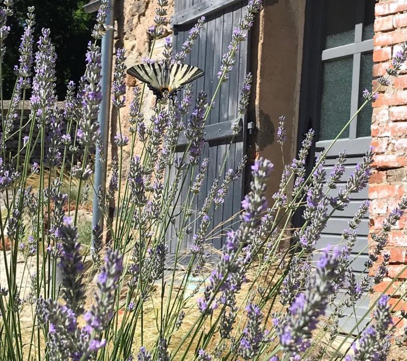 Photo of Others in Montigny-sur-Armancon