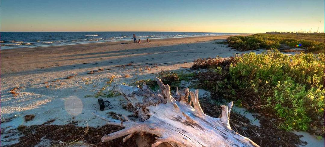Photo of Others in Galveston