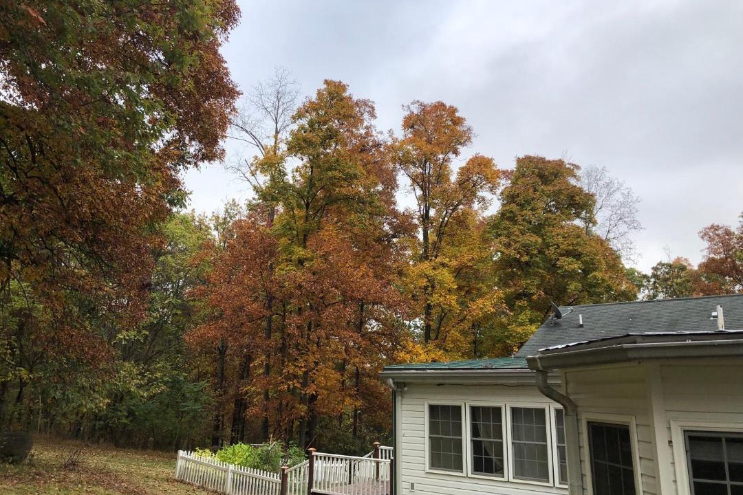 Photo of Buildings in Nokesville