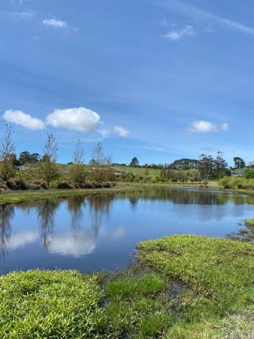 Photo of Others in Dairy Flat