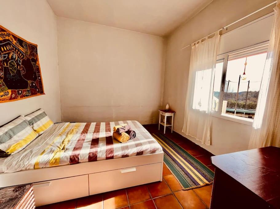 Photo of Bedroom in Olivella