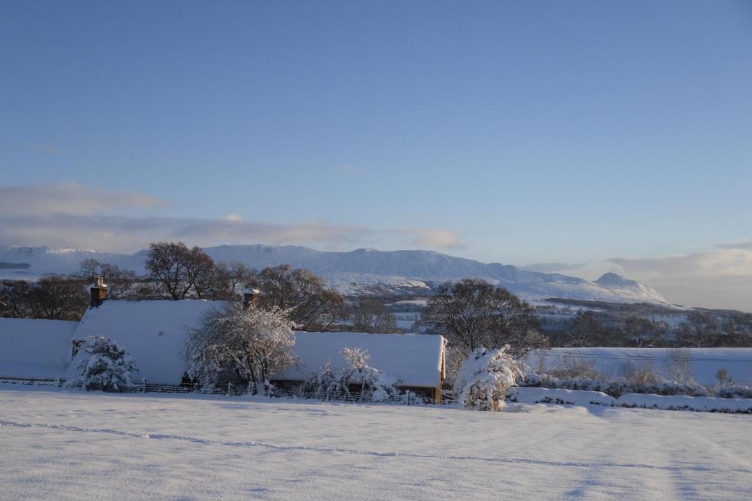 Photo of Others in Kippen