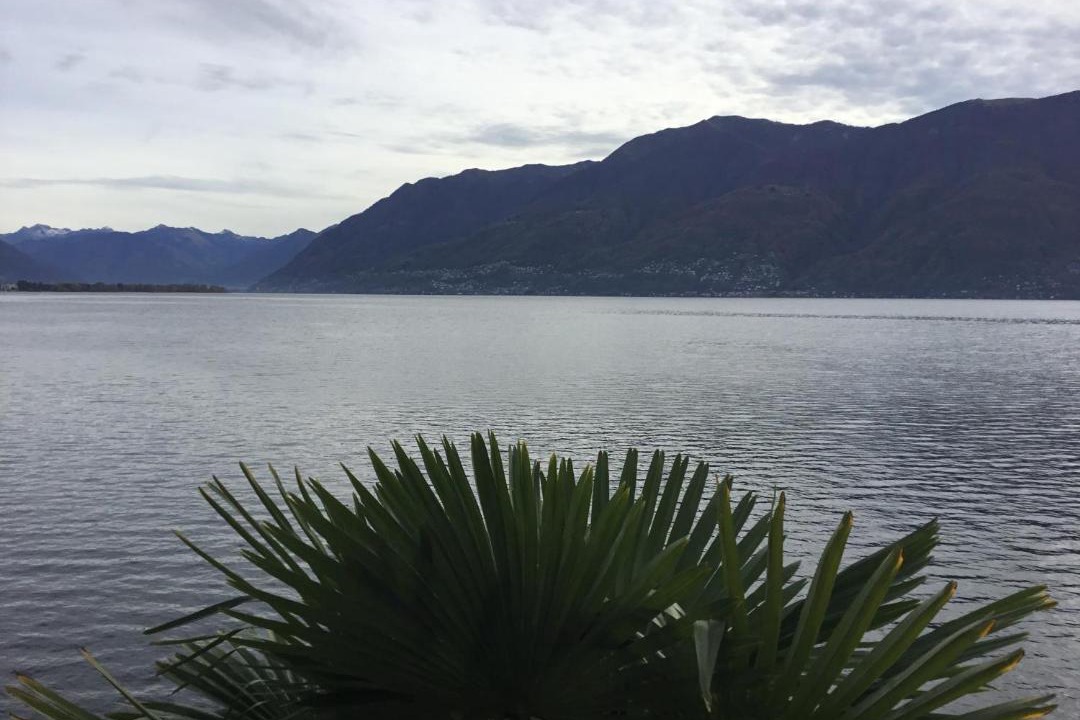 Photo of Outdoor in Porto Ronco