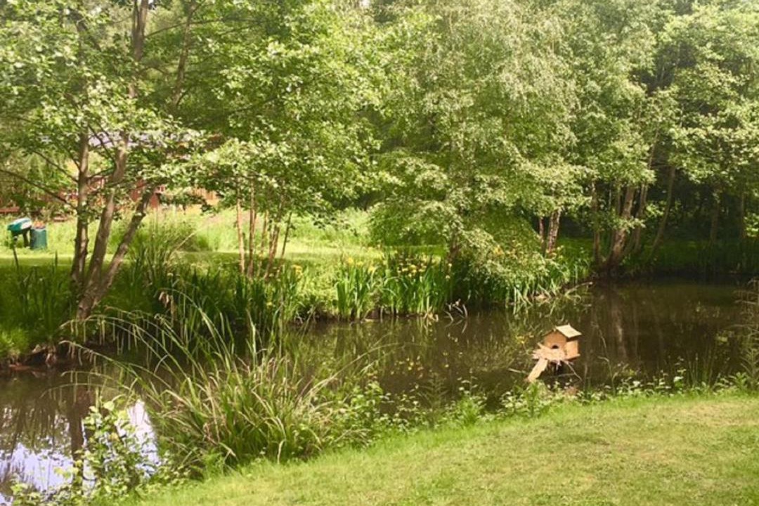 Photo of Outdoor in Ryther