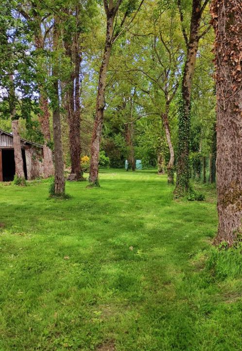 Photo of Others in Forges-la-Foret