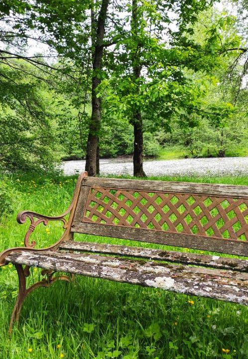 Photo of Others in Forges-la-Foret