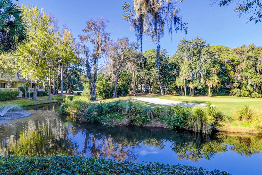 Photo of Outdoor in Hilton Head Island