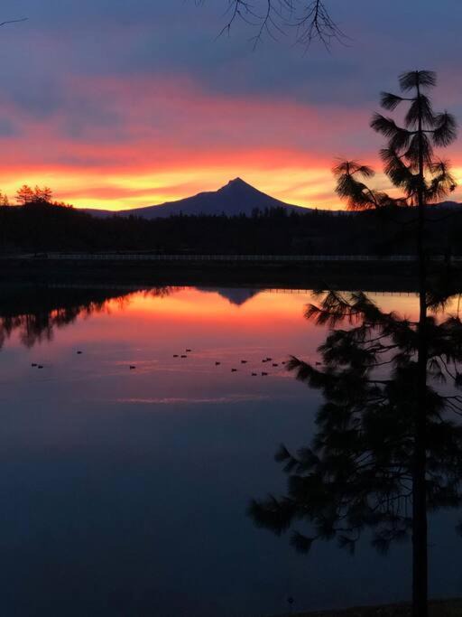 Photo of Outdoor in Shady Cove