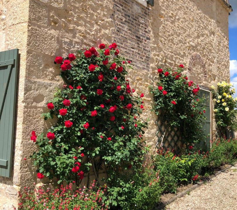 Photo of Others in Merry-sur-Yonne