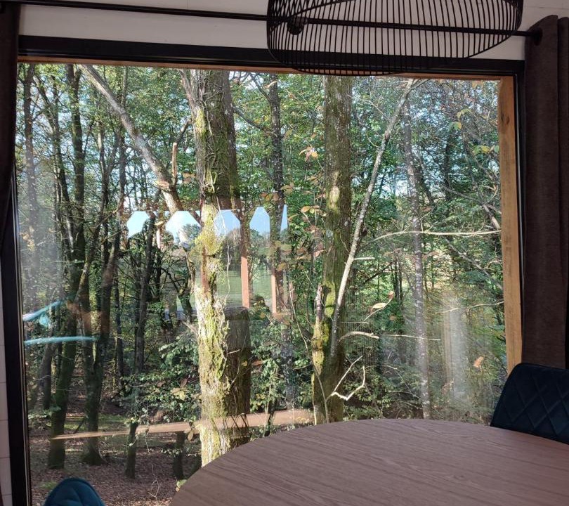 Photo of Bedroom in Gomene