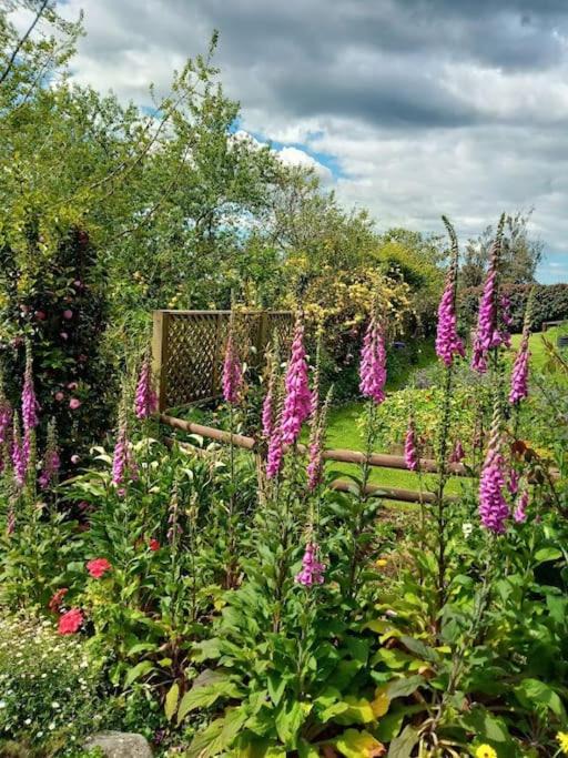 Photo of Others in Aongatete