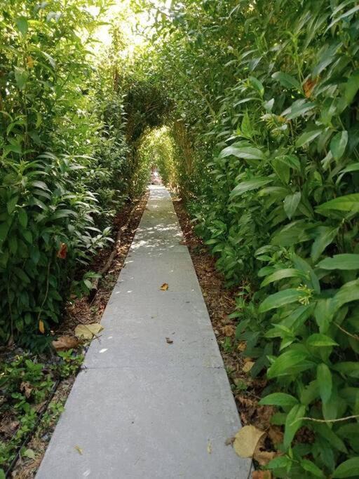 Photo of Others in Aongatete