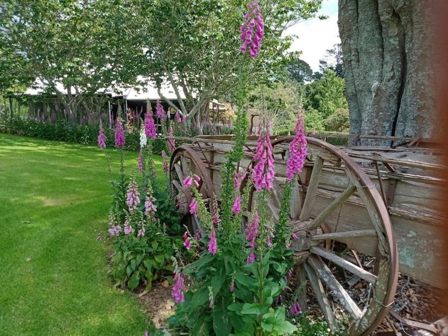 Photo of Others in Aongatete