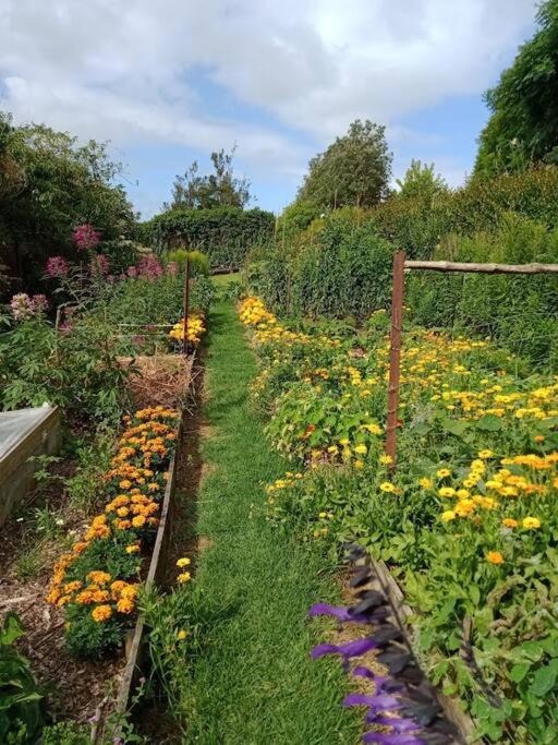 Photo of Outdoor in Aongatete