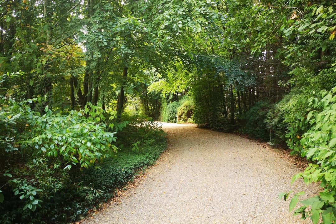 Photo of Outdoor in Tarm