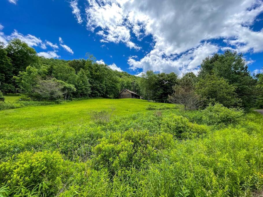 Photo of Others in Denver