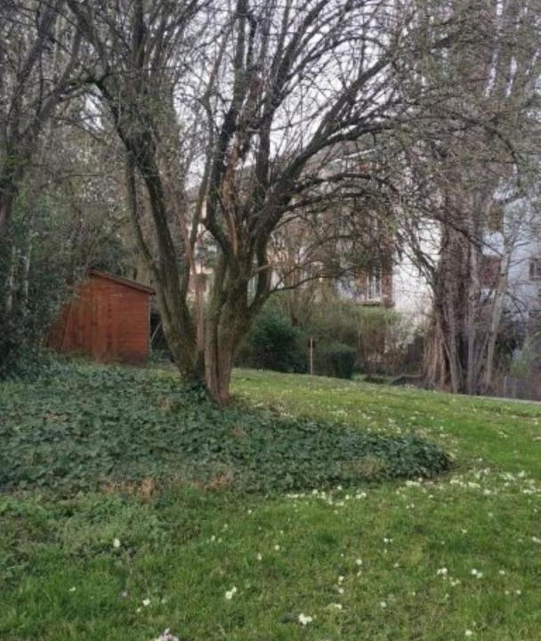 Photo of Outdoor in Alt-Wiedikon