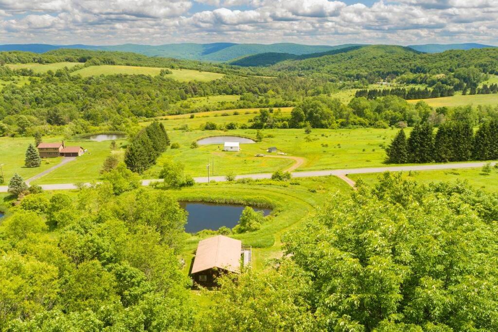 Photo of Outdoor in De Lancey