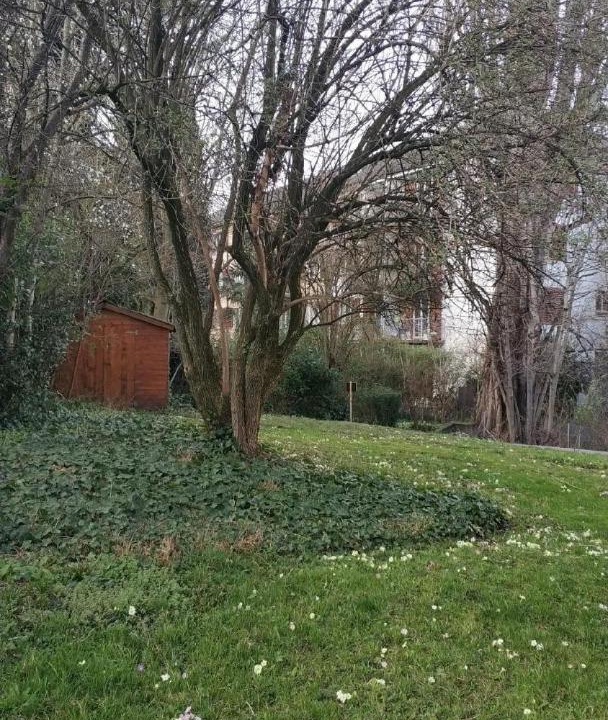 Photo of Outdoor in Alt-Wiedikon
