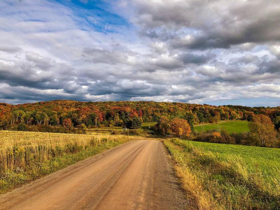 Photo of Others in Bloomville