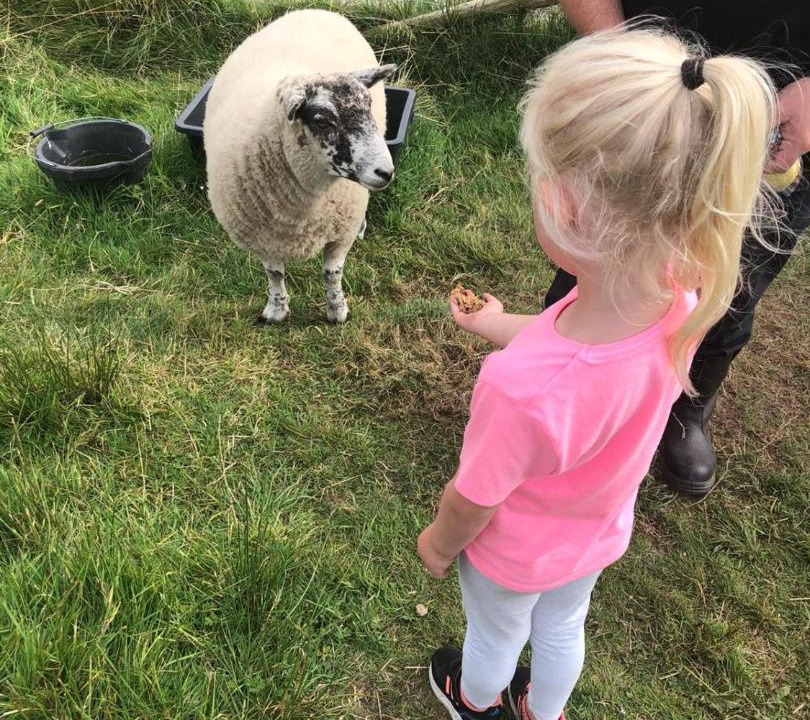 Photo of Others in Shawforth