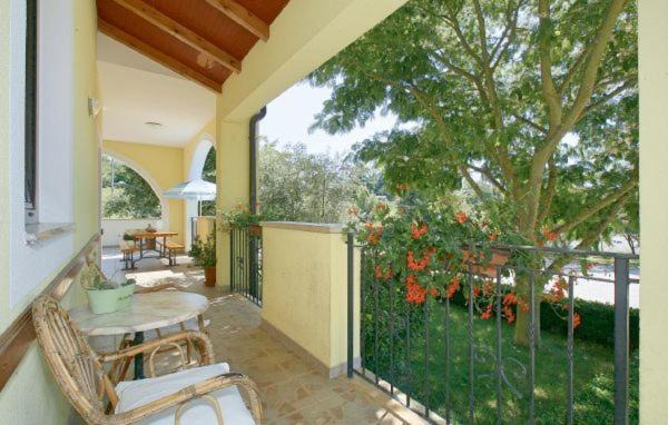 Photo of Patio Balcony in Sterna