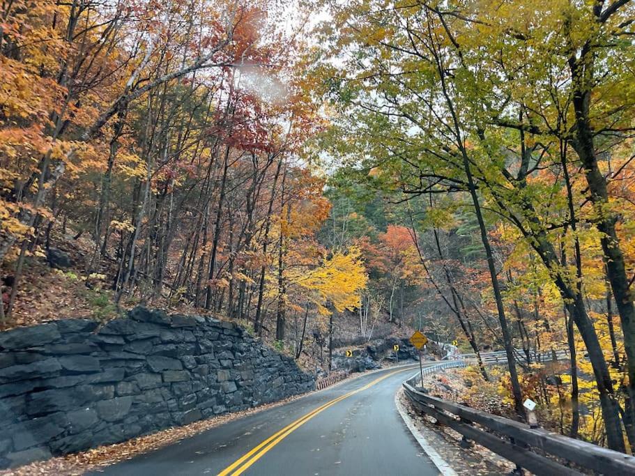 Photo of Outdoor in Hunter