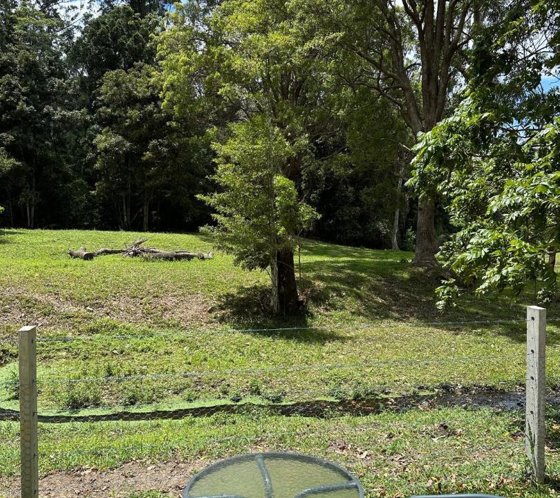 Photo of Others in Boambee