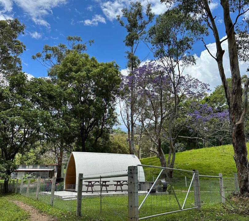 Photo of Others in Boambee