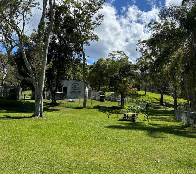 Photo of Others in Boambee