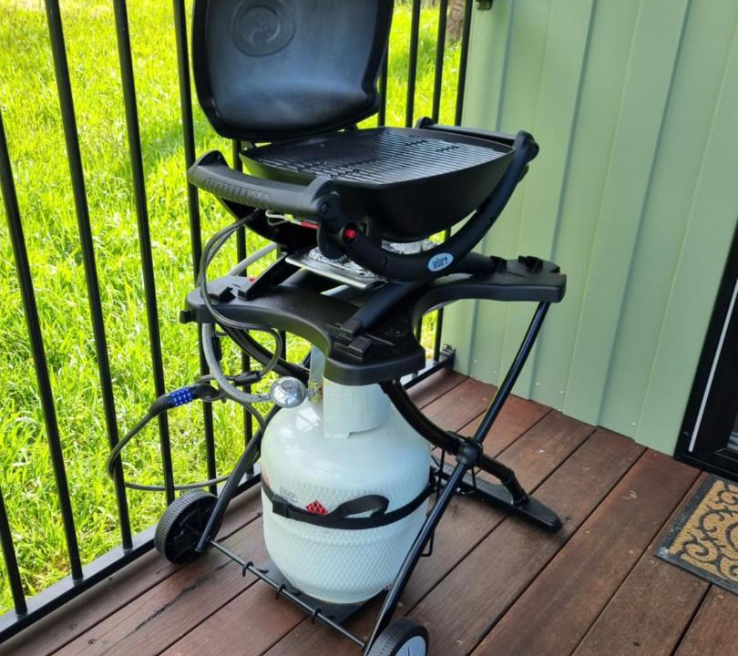 Photo of Others in Beech Forest