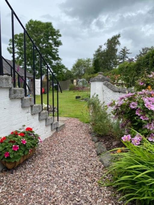 Photo of Others in Saint John's Town of Dalry