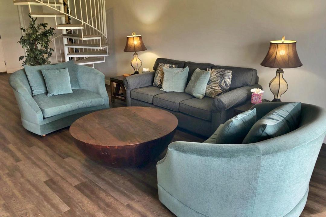 Photo of Livingroom in Princeville