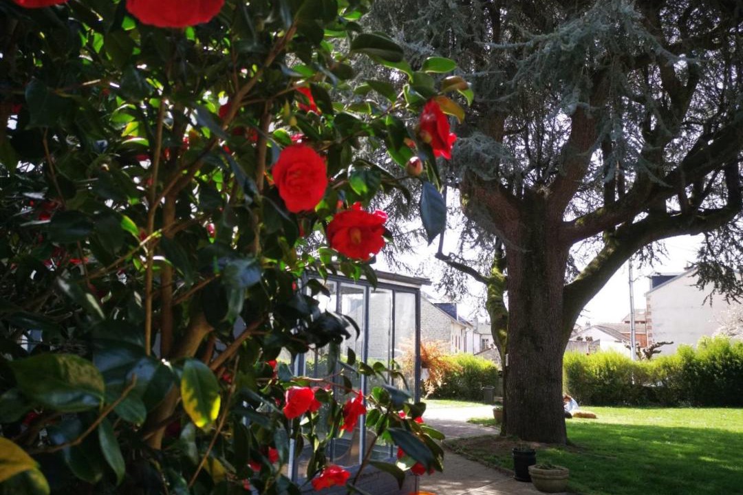 Photo of Others in Saint-Junien