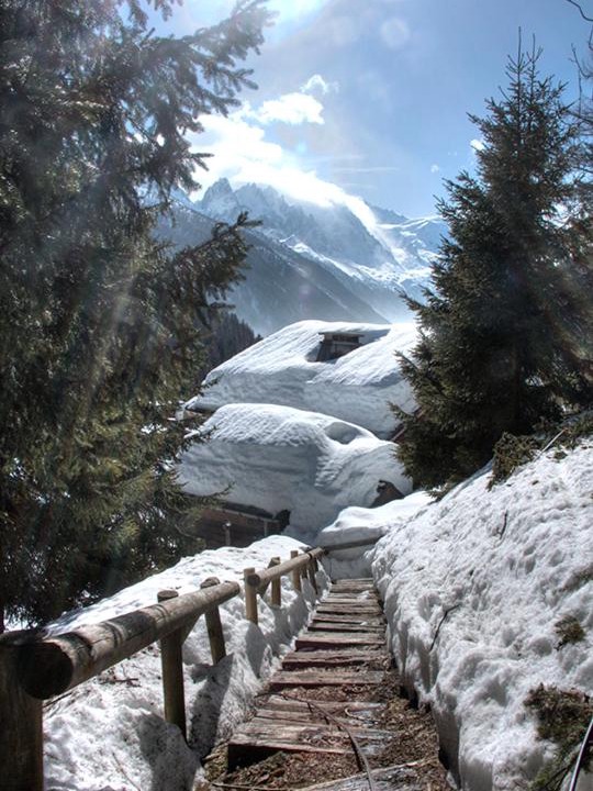 Photo of Others in Montroc