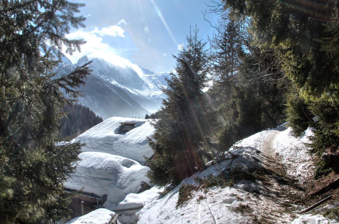 Photo of Others in Montroc