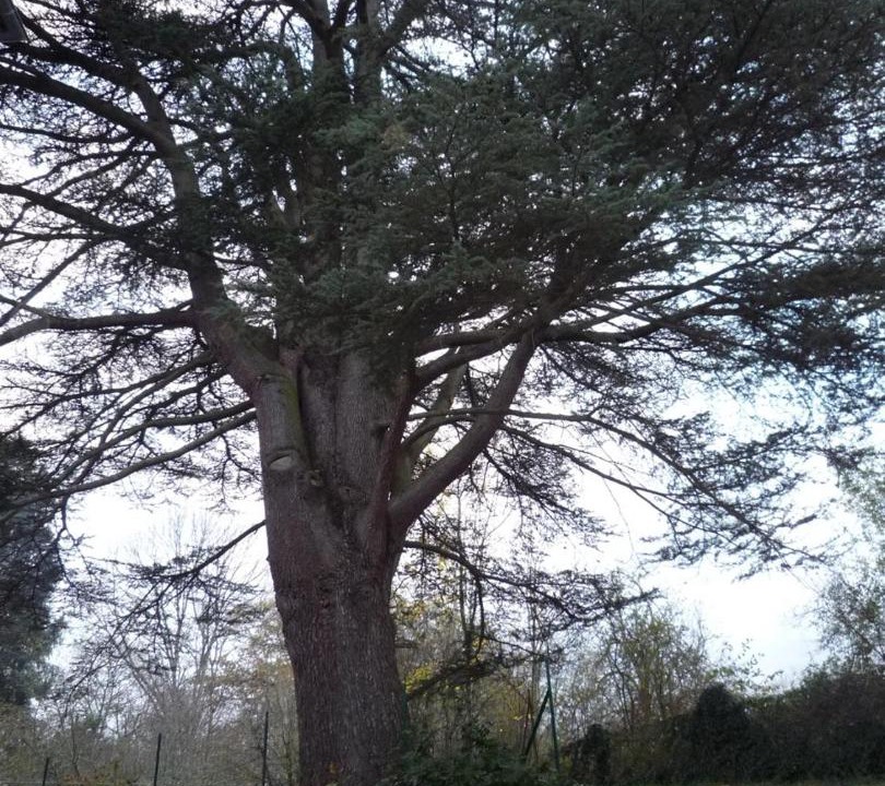 Photo of Buildings in Saint-Honore-les-Bains