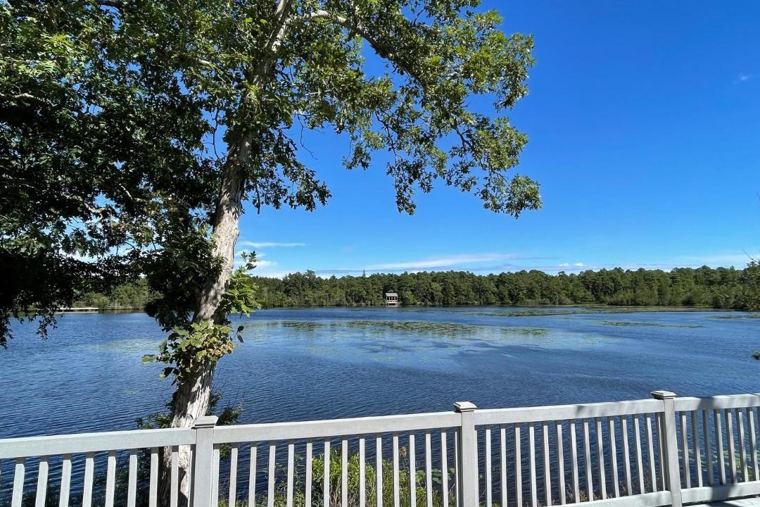 Photo of Others in Galloway