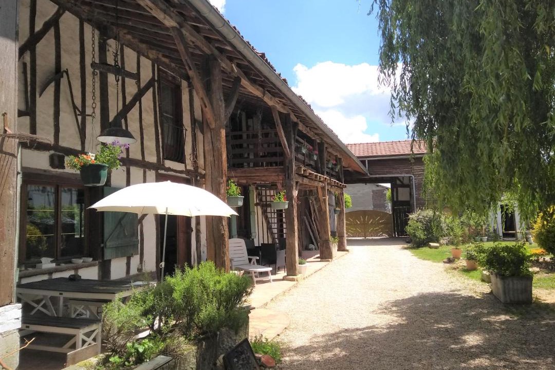 Photo of Others in Montier-en-Der
