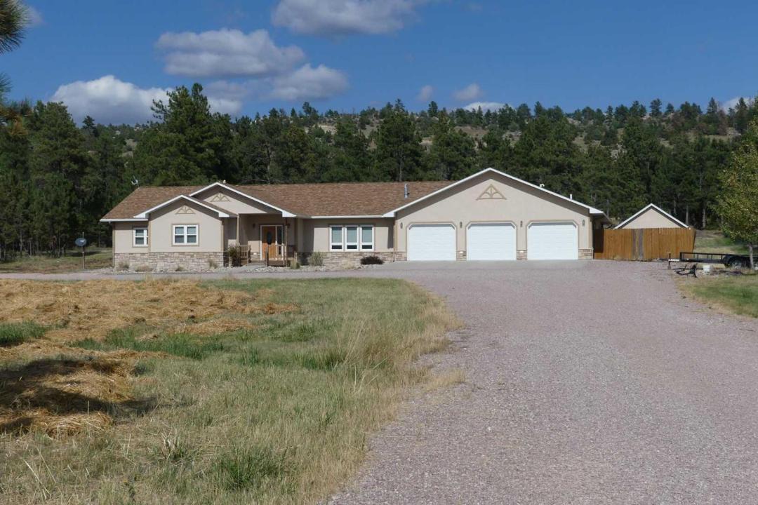 Photo of Others in Newcastle