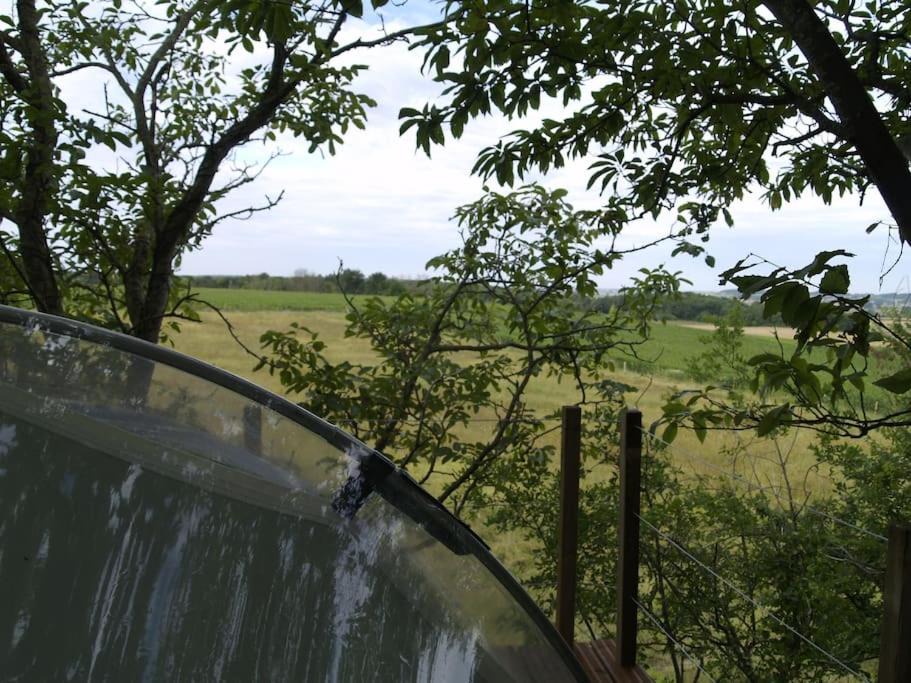 Photo of Others in Gennes-Val-de-Loire