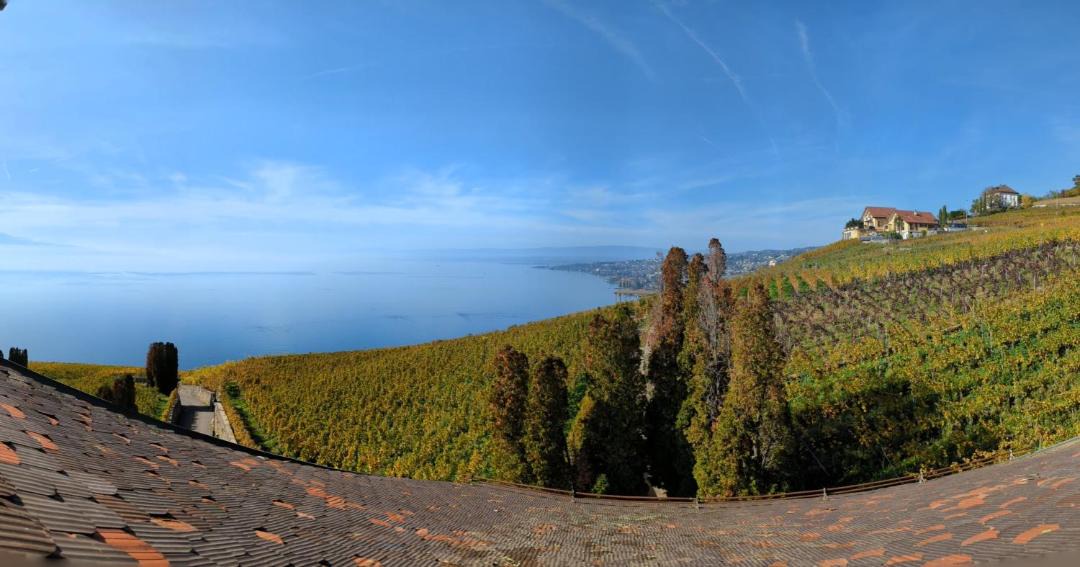 Photo of Others in Grandvaux