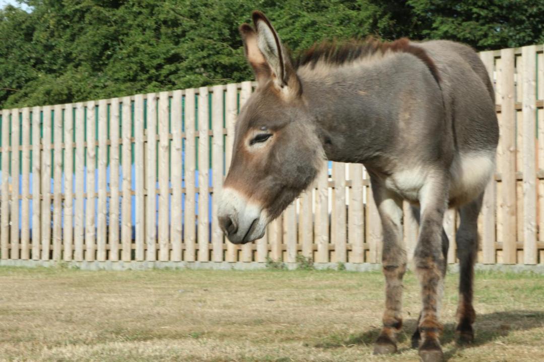 Photo of Others in Cambridge