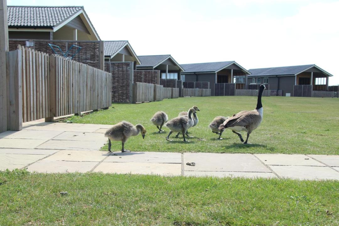 Photo of Others in Cambridge