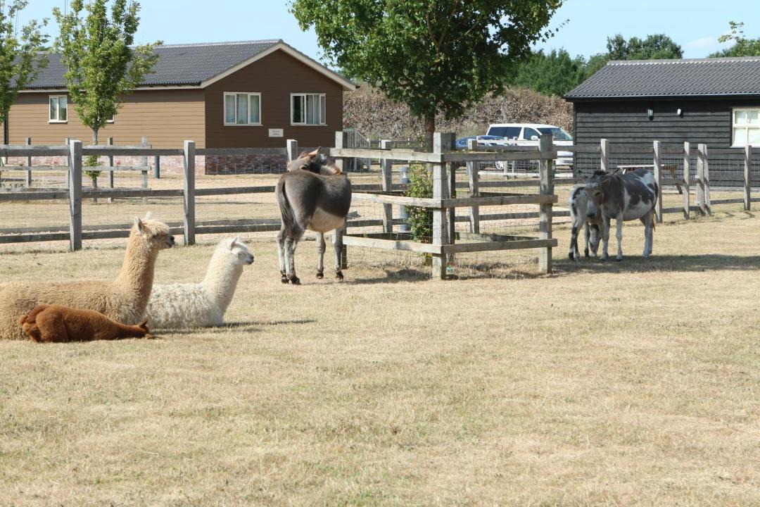 Photo of Others in Cambridge