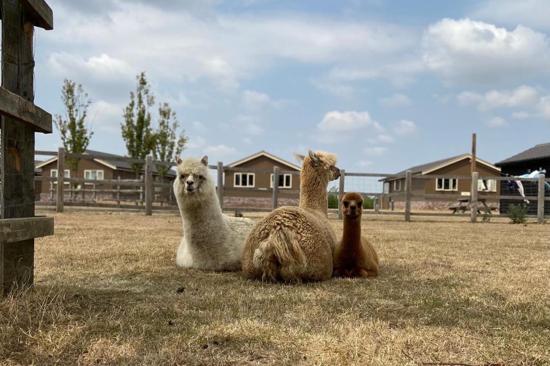 Photo of Others in Cambridge